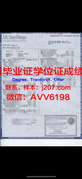 高分的成绩单:一张承载梦想与奋斗的纸
