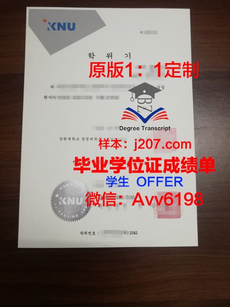 阿克伦大学（护理学院）毕业证图片University of Akron (College of Nursing) Diploma