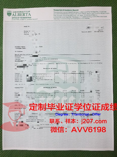 阿尔梅利亚大学毕业证:开启国际化职业道路的钥匙