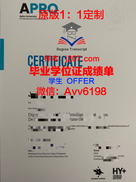 阿尔托大学毕业证展示