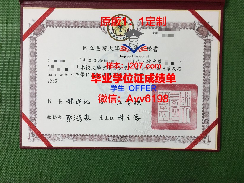 马里亚诺马科斯国立大学毕业学位