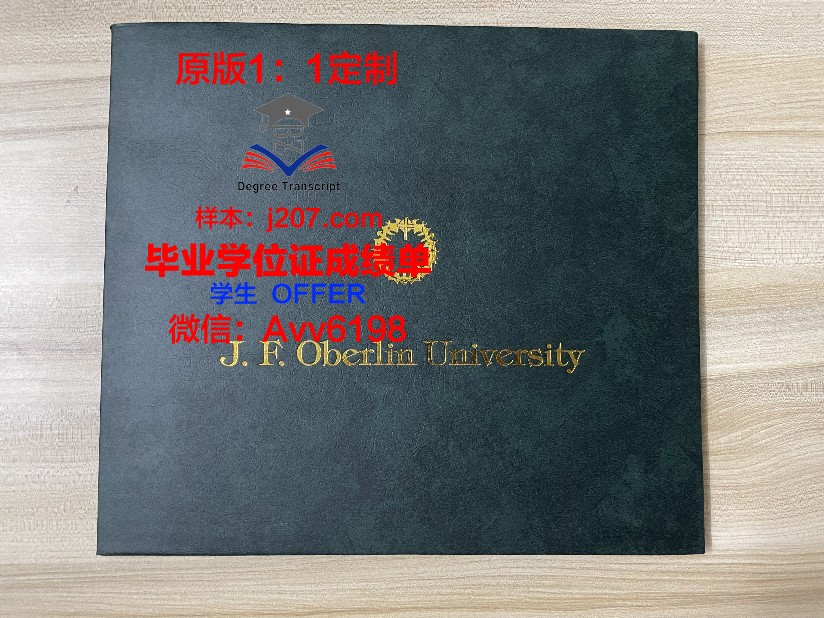 沙尔达大学毕业证书图片高清(印度沙尔达大学)
