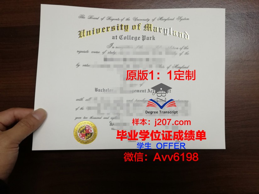 马里兰大学巴尔的摩郡分校毕业证成绩单：价值与意义