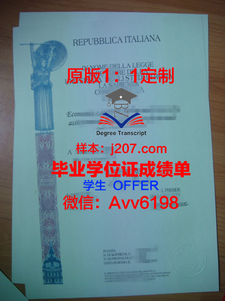 罗马第二大学毕业证书原件(意大利罗马大学毕业证)