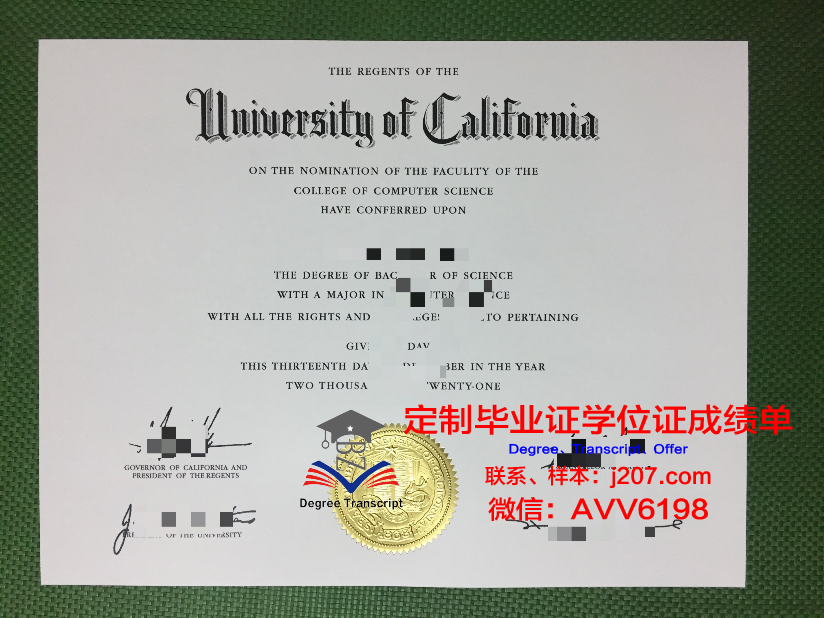 罗工本科毕业证：一张纸的重量与梦想的承载