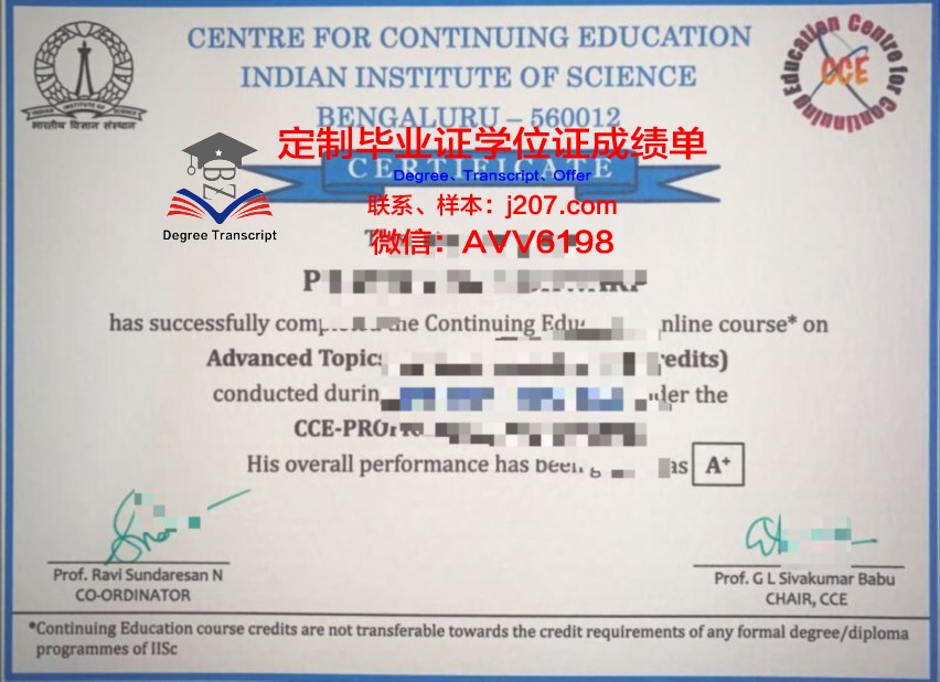 阿兰努斯艺术与社会科学学院毕业证原版