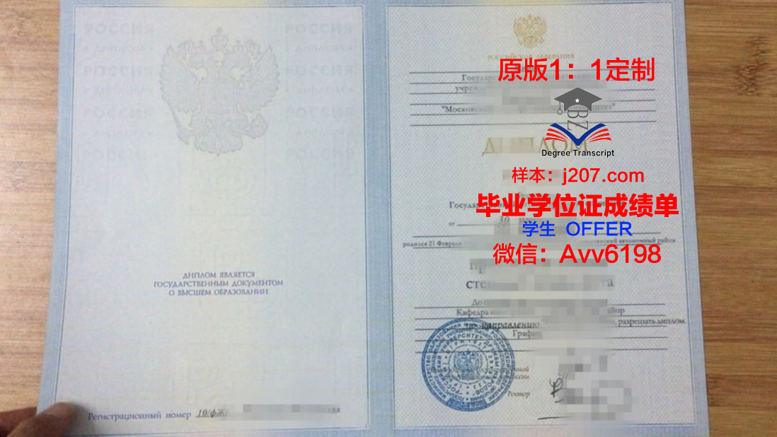 沃罗涅什国立林业技术大学成绩单：俄罗斯林业教育的璀璨明珠