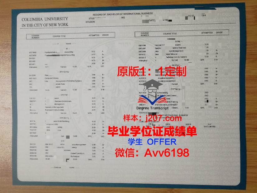 沙东工作室成绩单:砥砺前行,书写辉煌篇章