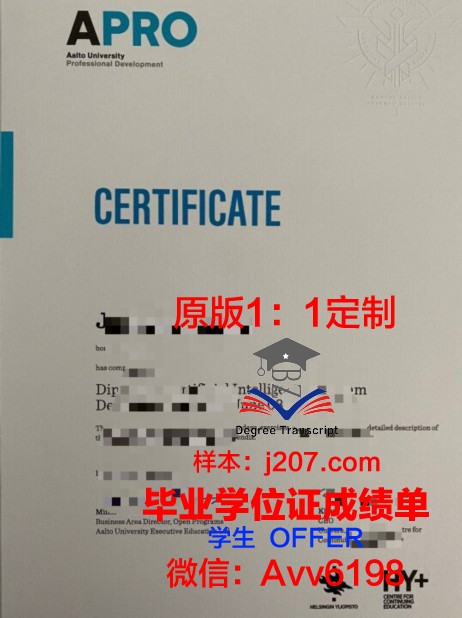 阿尔托大学diploma证书(阿尔托大学国内认可度)