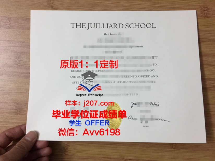 罗斯托夫国立音乐学院毕业证是什么样子(罗斯托夫国立大学)