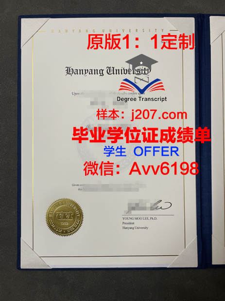 汉阳大学成绩单查询(汉阳大学成绩单查询系统)