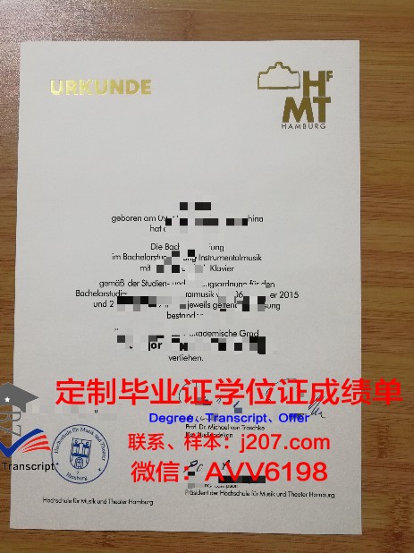 汉堡大学毕业文凭