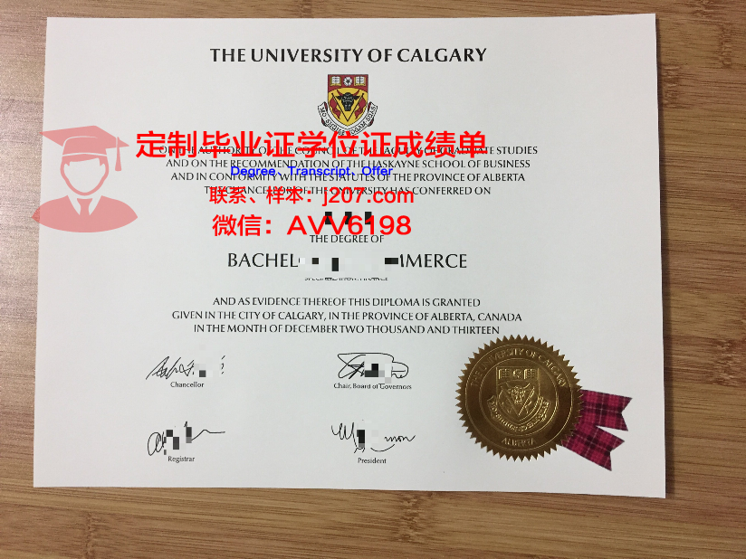 沙希德佐勒菲卡尔·阿里·布托科技学院的毕业证啥样