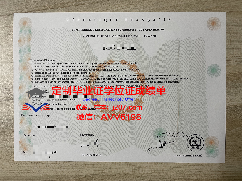 马赛-地中海高等艺术与设计学院毕业证书原件(马赛地中海文化博物馆)