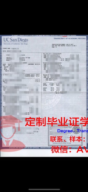 汶大成绩单：一份见证成长与荣耀的证书