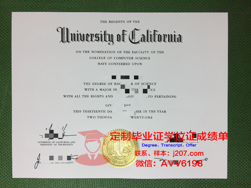 沙卡里姆国立大学毕业证电子版
