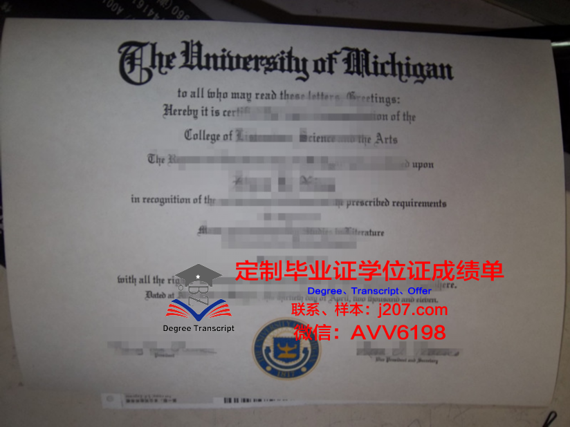 汉语言文学研究生毕业证图片大全:探寻学术足迹,见证成长历程