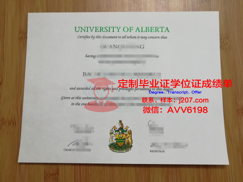 阿尔松别墅尼斯国立高等艺术学院毕业证样式