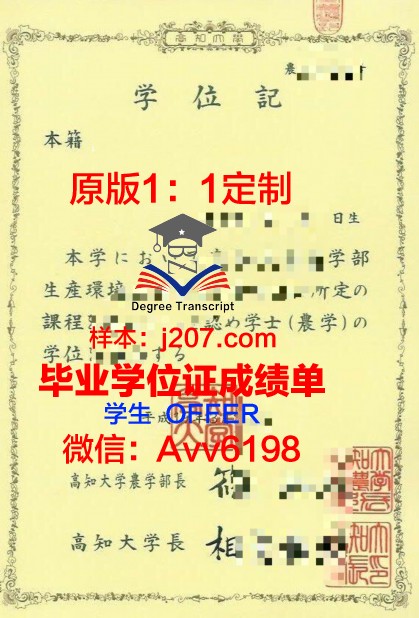 高知大学博士学位证：一份承载知识与荣耀的证书