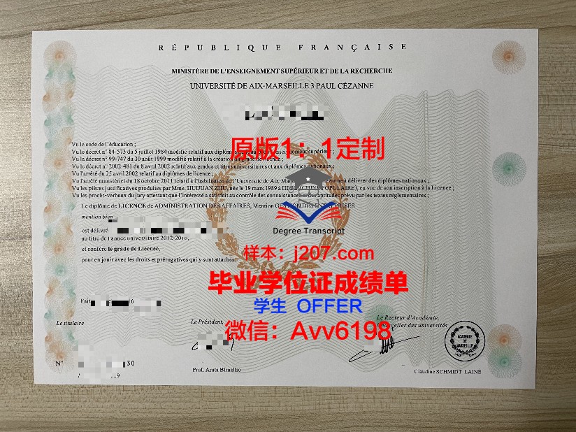 马赛国立高等建筑学院毕业证书模板(马赛大学官网)