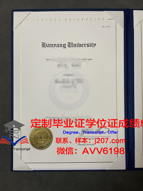 汉阳大学学位成绩单定制：探索学术诚信与教育公平的边界
