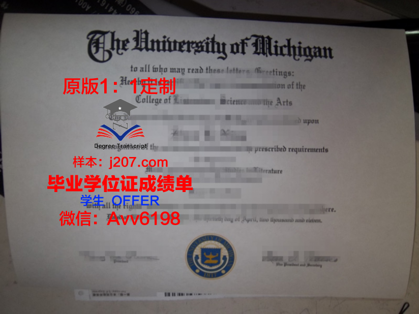 江陵岭东大学毕业证成绩单(江陵岭东大学毕业证成绩单怎么打印)