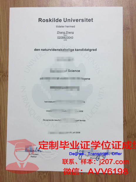 罗斯基勒大学diploma证书(罗斯基勒音乐节)