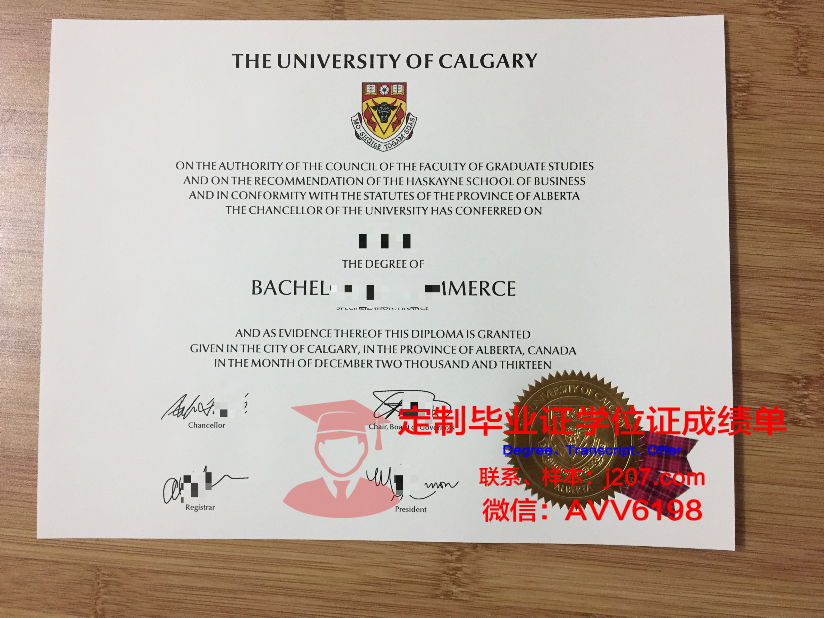 沙希德佐勒菲卡尔·阿里·布托科技学院毕业证图片