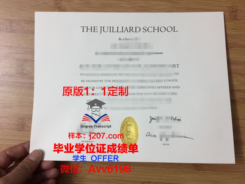 罗维戈音乐学院毕业证高清图(罗维音响师简介)