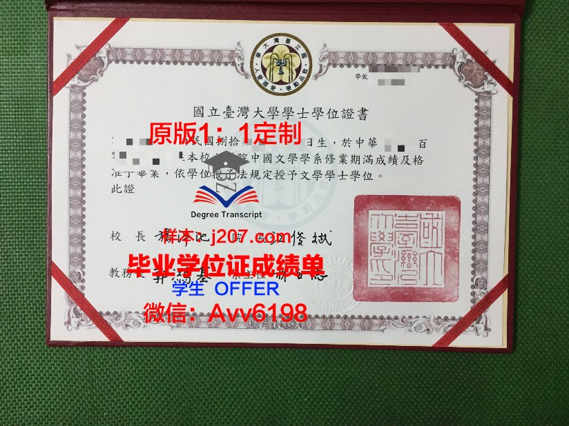 沃罗涅日国立大学拿不了毕业证(沃罗涅日国立大学宿舍)