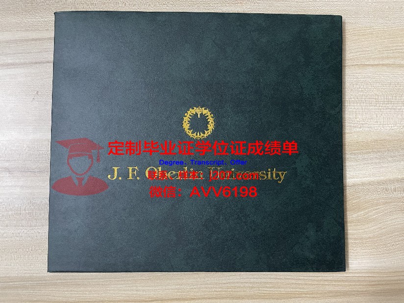 美因茨大学毕业证是什么样子(美因茨大学申请条件)