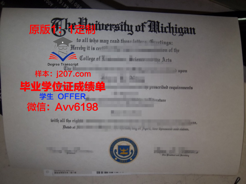 罗工本科毕业证：一张纸的重量与梦想的承载