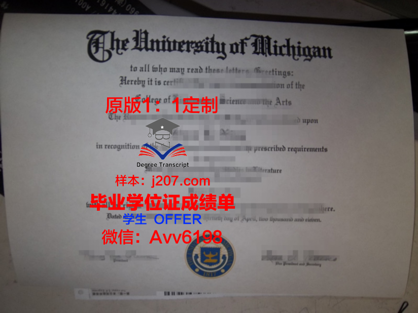 沙尔达大学本科毕业证(沙尔达大学本科毕业证图片)