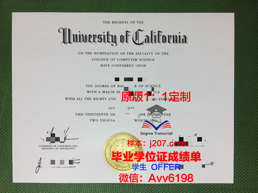 沃罗涅什国立林业技术大学毕业证的重量与价值