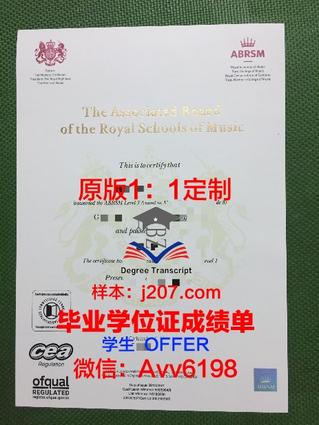 罗斯托夫国立音乐学院毕业证是什么样子(罗斯托夫国立大学)