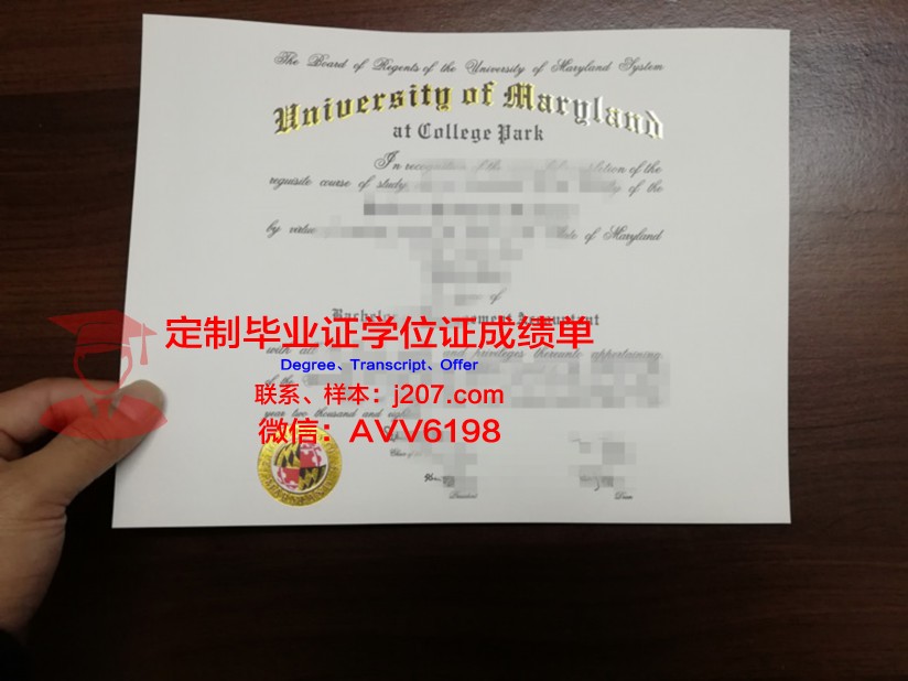 马里兰大学巴尔的摩分校毕业证图片