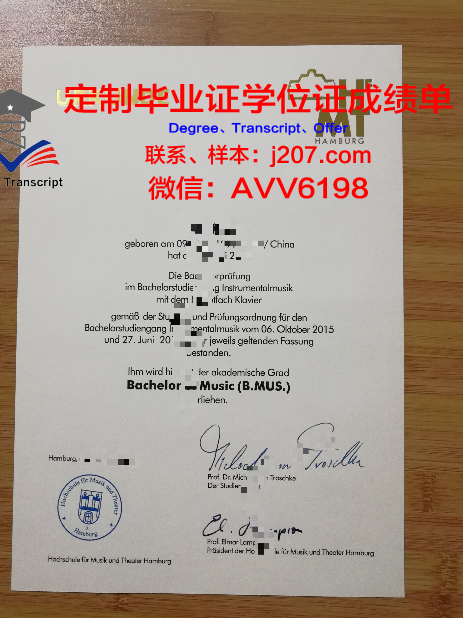 汉堡大学毕业证电子版