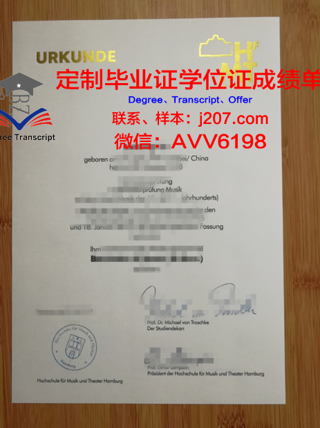 汉堡造型艺术学院毕业证封面(汉堡音乐戏剧学院官网)