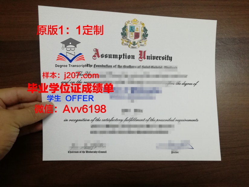 美利坚大学 diploma 毕业证