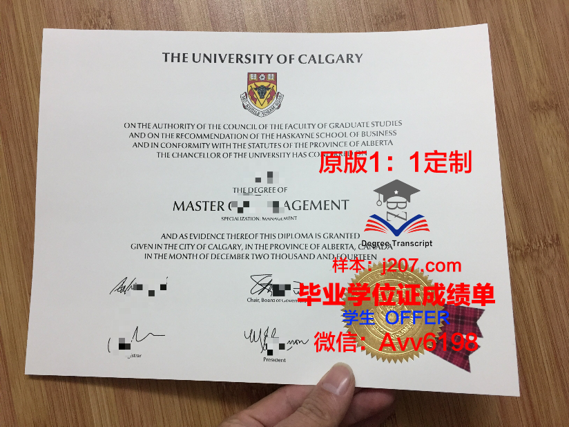 沙希德佐勒菲卡尔·阿里·布托科技学院本科毕业证