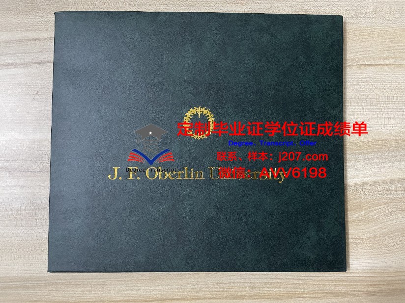罗伊特林根应用技术大学硕士毕业证书样本(德国罗特林根大学)