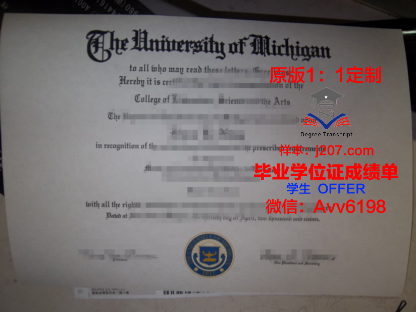 罗斯福大学毕业证丢失怎么补办
