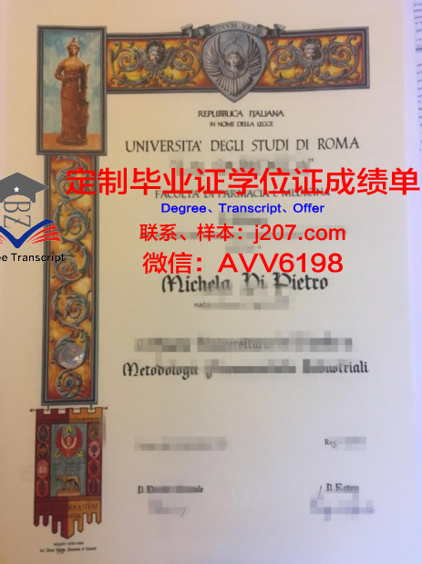 罗马国际社会科学自由大学毕业证成绩单