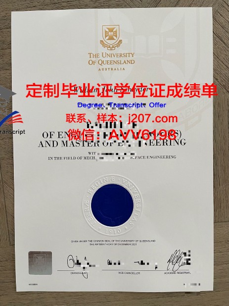 沙尔达大学毕业证书图片高清(印度沙尔达大学)