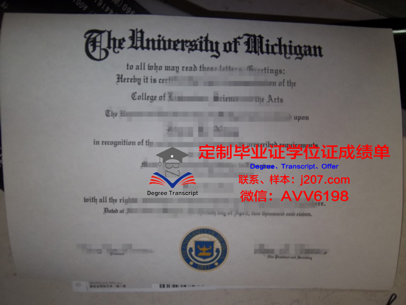 沃罗涅什国立林业技术大学毕业证的重量与价值