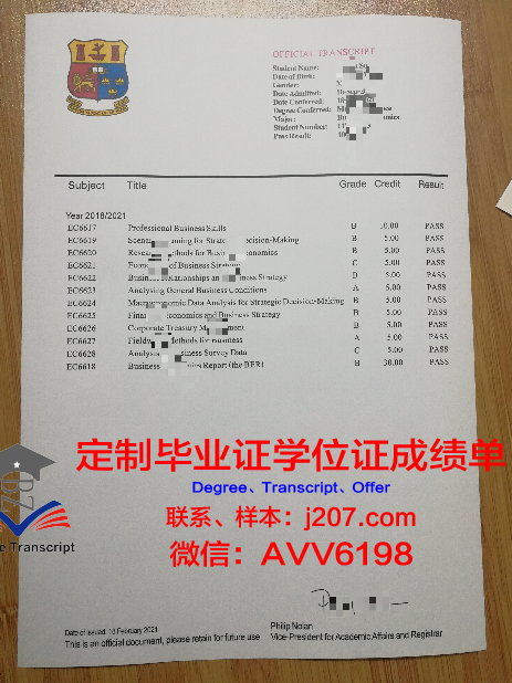 沃罗涅日国立艺术学院毕业证案例(沃罗涅日国立农业大学)