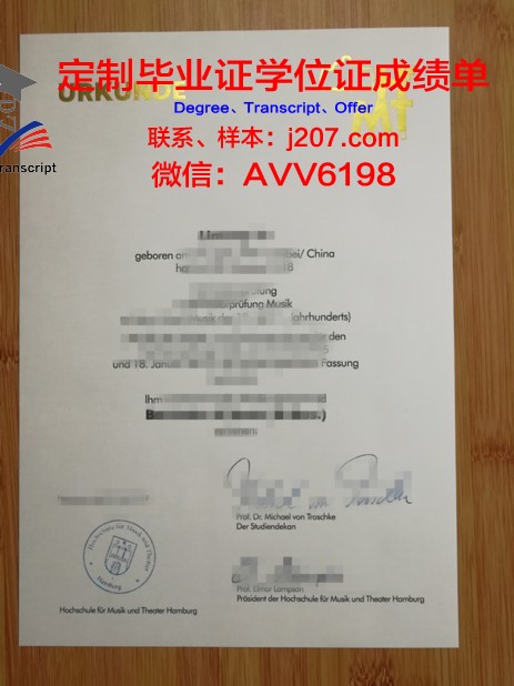 汉堡港口城市大学文凭(汉堡港口新城)