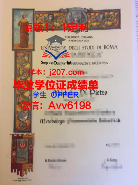 罗马第二大学毕业证书图片高清(罗马第二大学怎么样)