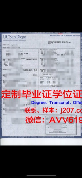 高中学校成绩单查询指南