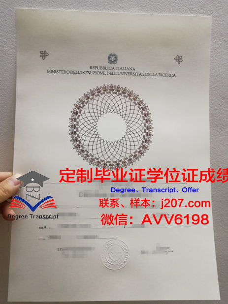 沃罗涅日高等技术学院成绩单：一份见证成长与梦想的纸笔记录